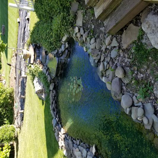 Shady, but you can still tell how clear the water is.