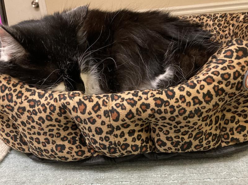 Cozy!