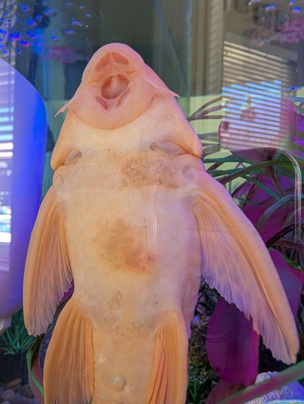 Before....it was getting worse every day.