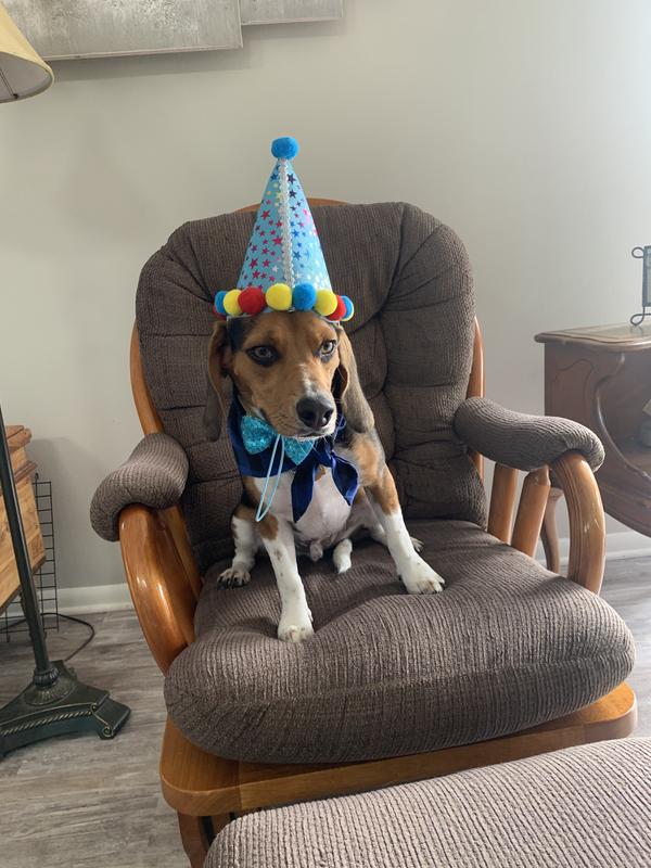 Birthday Boy, Eddie!