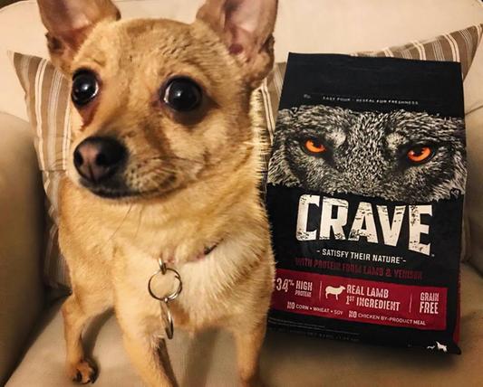 Crave puppy food clearance review