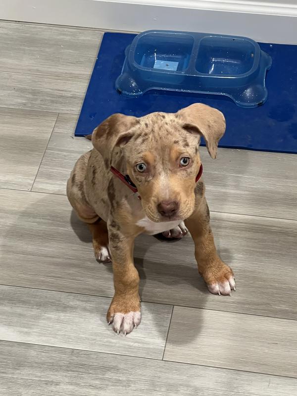 He’s always ready for meal time!