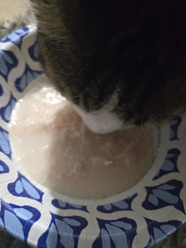 Instantly chwoing down