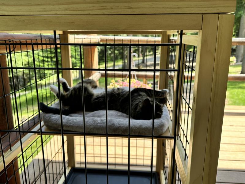 FRISCO Collapsible Wood & Wire Cat Cage Playpen, 2Levels