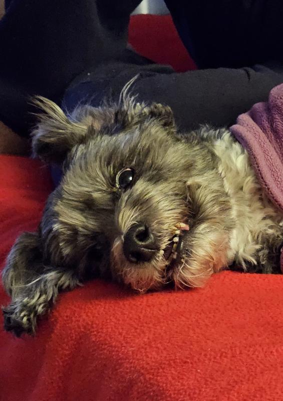 Benny showing off his pretty smile