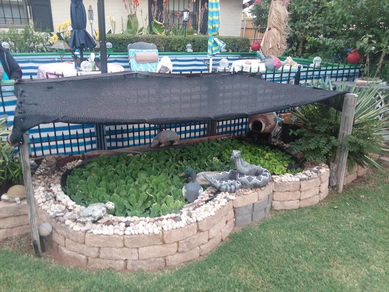 shaded (because of the Oklahoma sun)