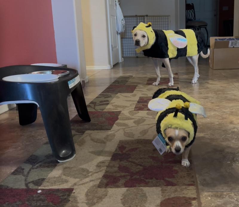 They did not love it