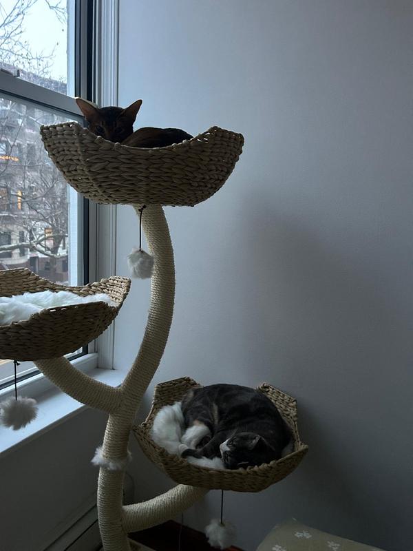 enjoying the new digs