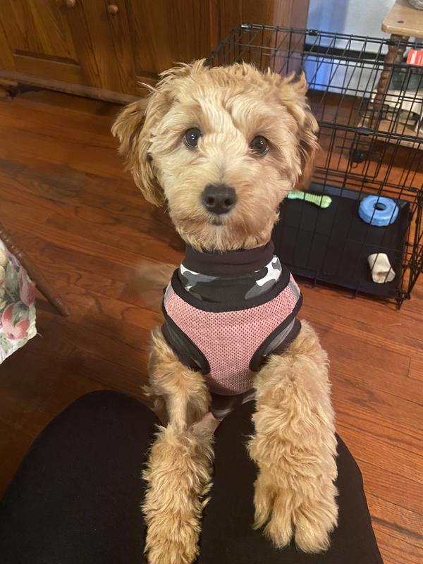 SUITICAL Recovery Suit for Cats, Black Camo, XXSmall