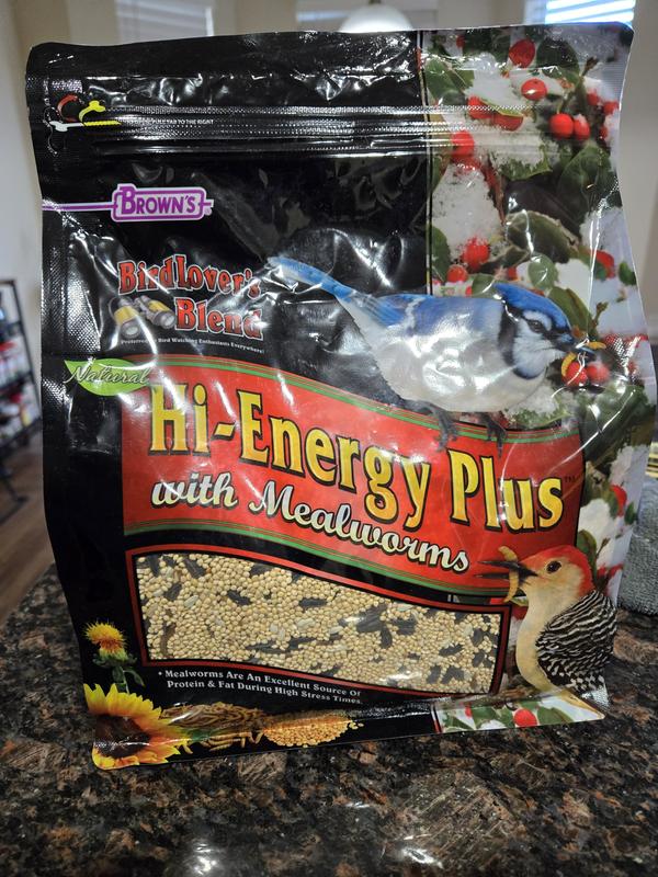 are the mealworms in the room with us?