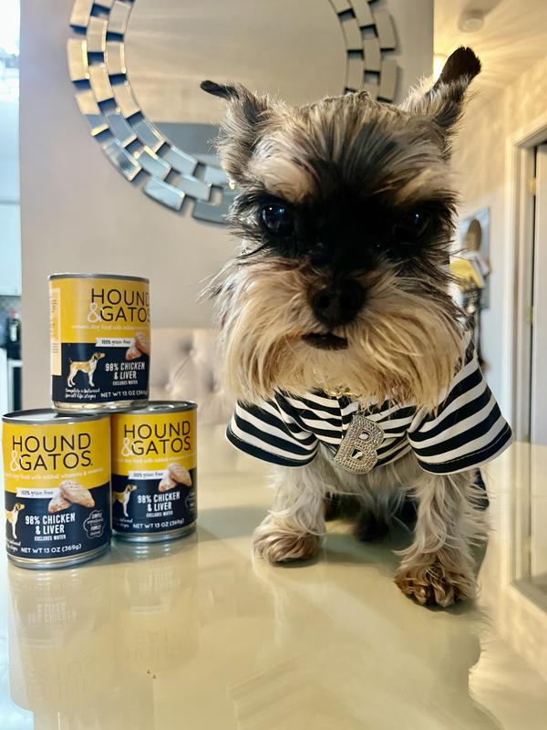 Bentley loves chicken!