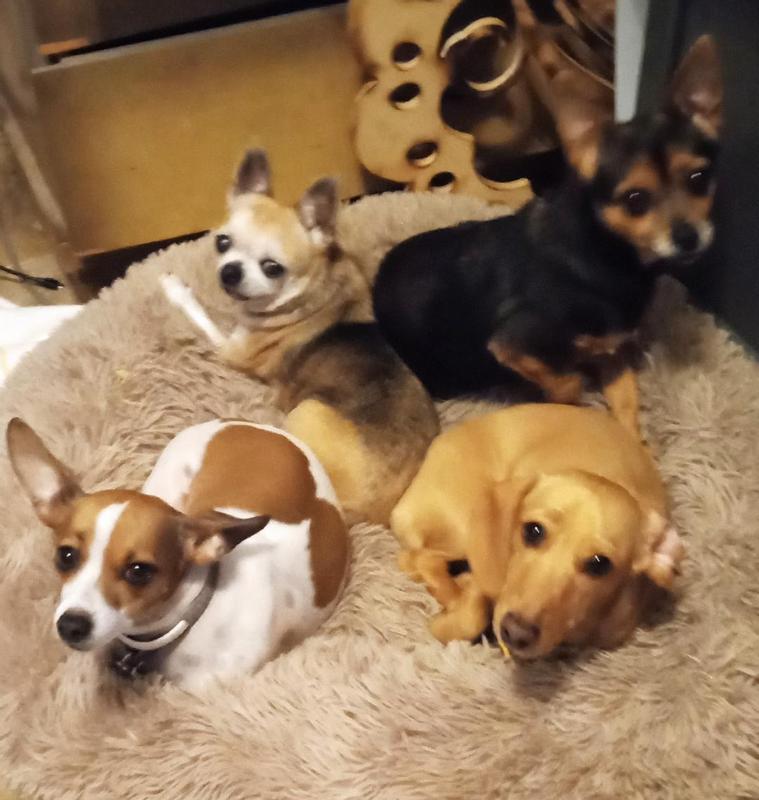 Our Security System.