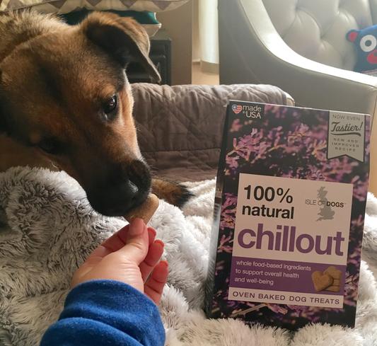 Chillout dog hot sale treats