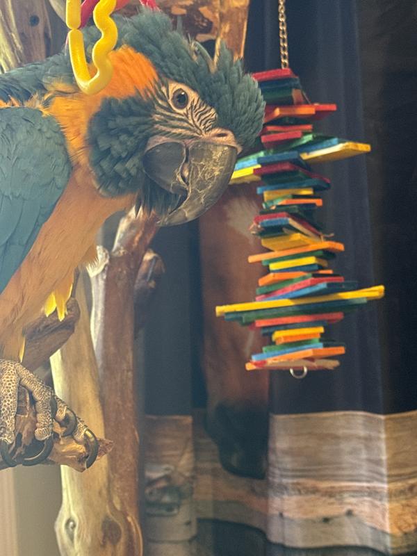 I can’t break this one.