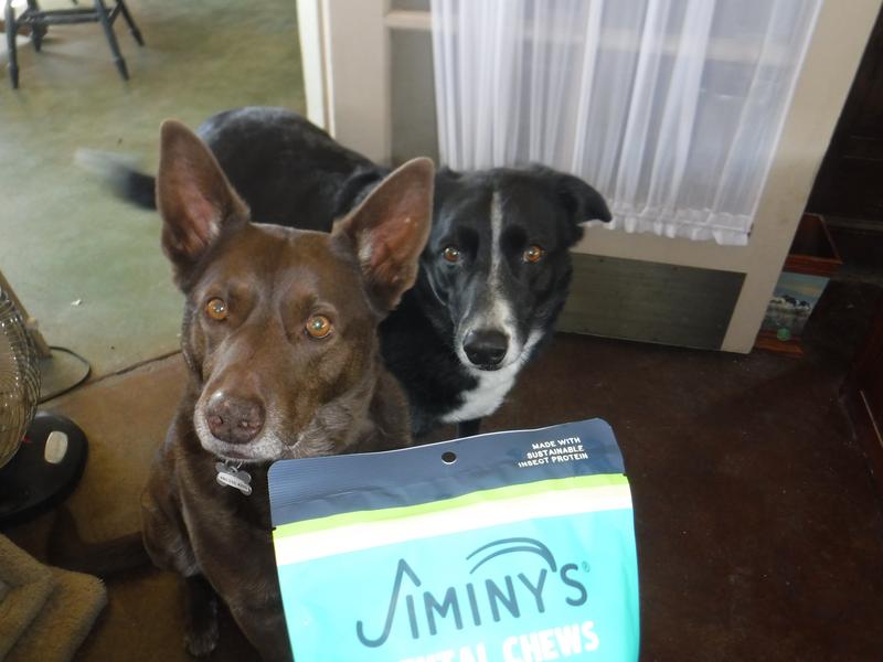 Oh boy! Ethan and Ezra know something good must be in this package.