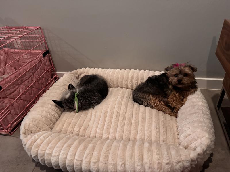 Beautiful, comfortable bed