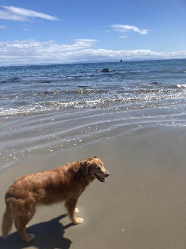 Perfect for swimmers prone ear infection