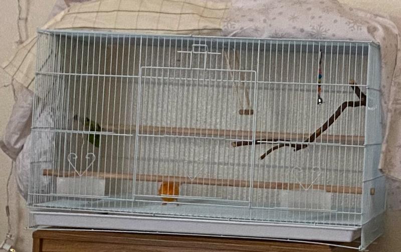 Great first time cage for training