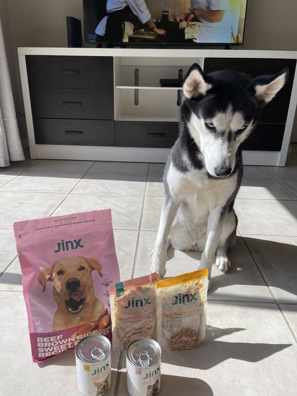 JINX Chicken Homestyle Wet Dog Food, 9oz pouch, case of 12