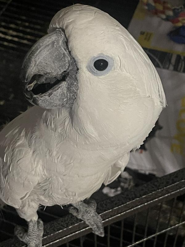 One of their favorites