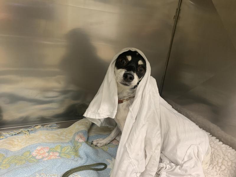 The test subjects <3