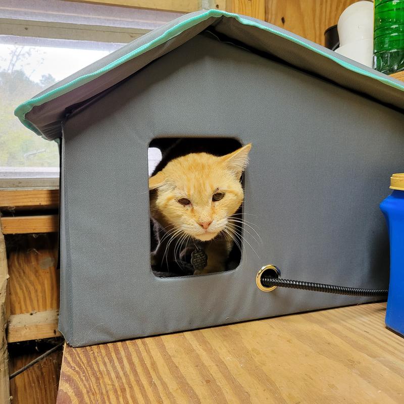 Timmy loves his new warm house.