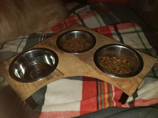 FRISCO Corner Wooden Triple Elevated Dog & Cat Bowls, Medium: 3 cup 