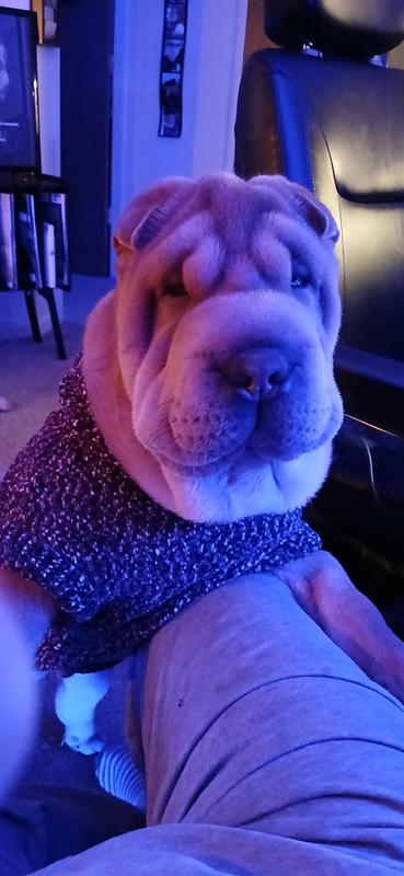 Handsome boy!
