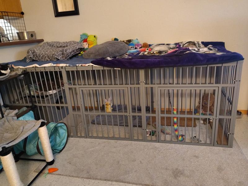 Spacious & cozy