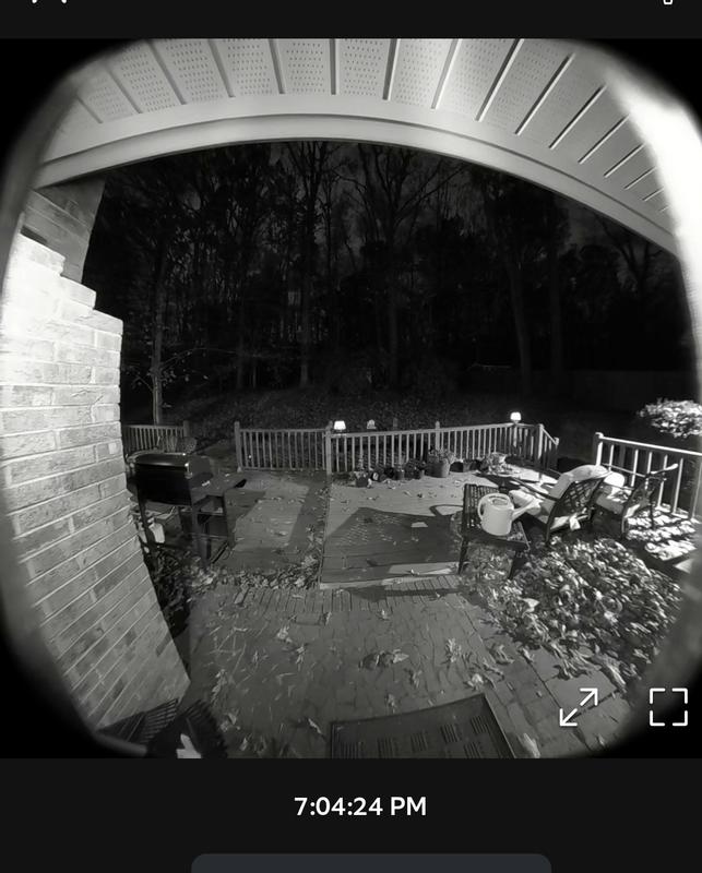 Crisp photo, even at night