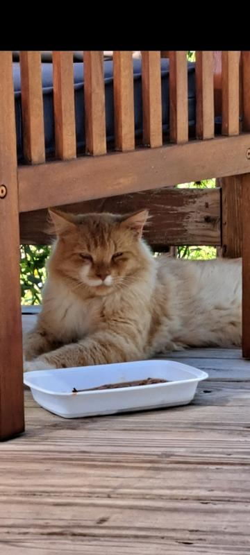 Its a hit and a miss