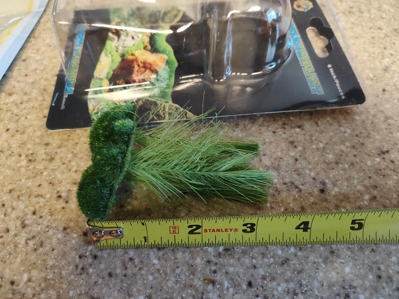 Tape measure next to tiny tuft and package.