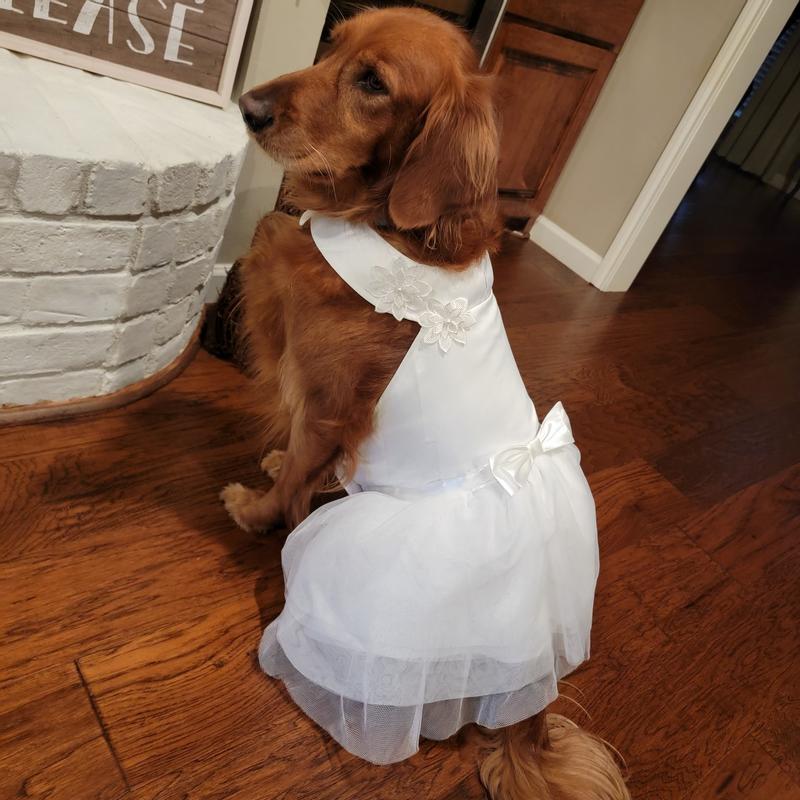 formal dog dresses Elsa Princess Dog Dress