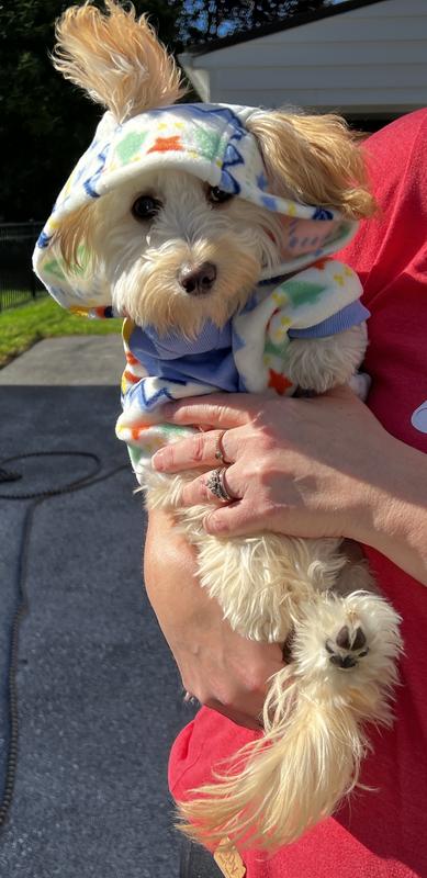 Daisy looks so adorable in this jacket!!