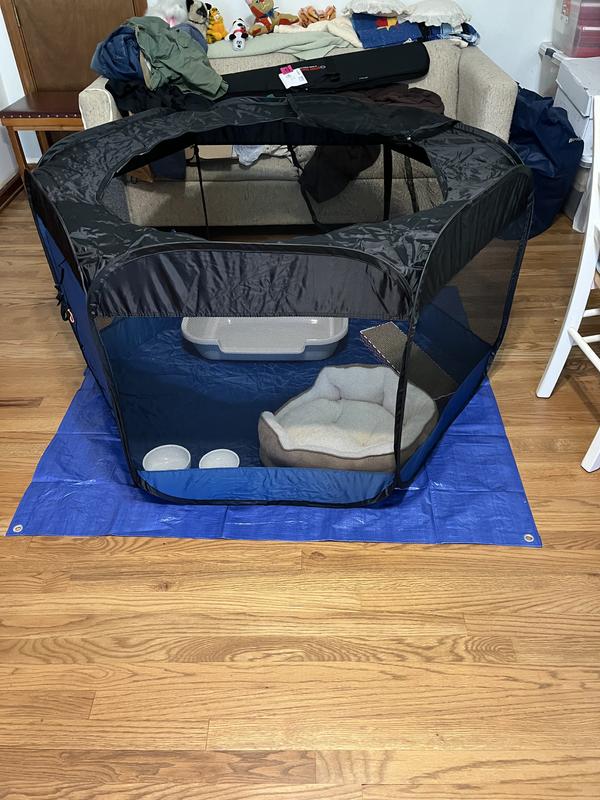 Kitten playpen