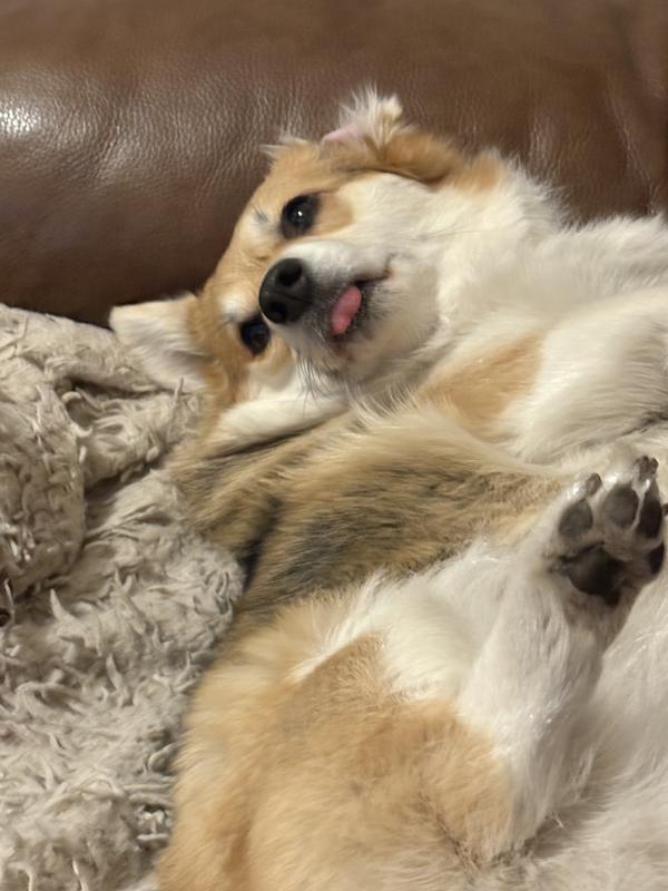 Willing to have belly sprayed.