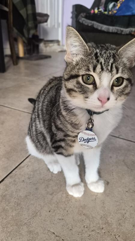 We got a dodger one for Gigi