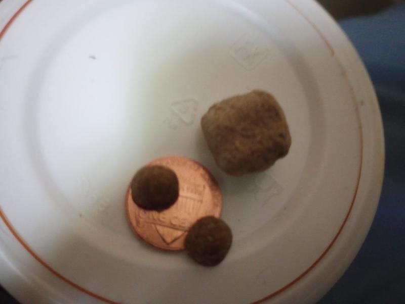 Here you can see the like pieces are really small and the raw bits are still small enough to eat for a little mouth.