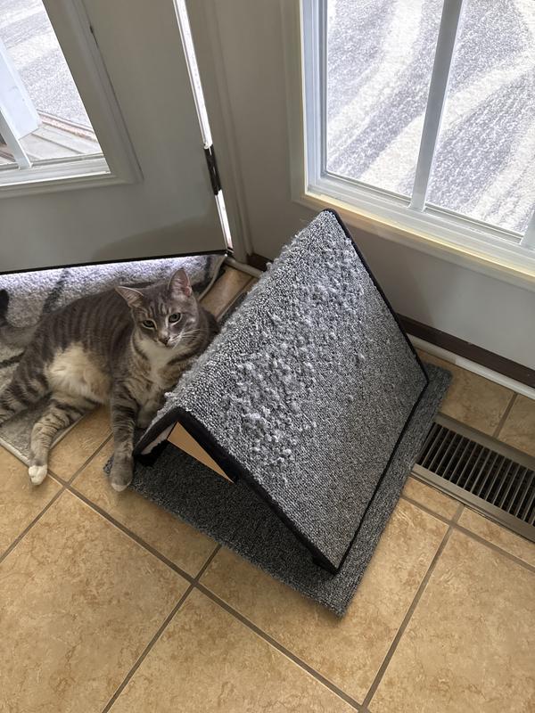 All torn up in 3 weeks