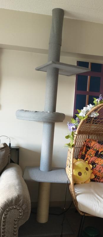 Full tree, without extender