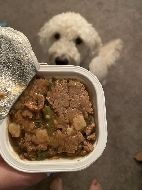 Iams Woof Delights Happy Turkey Day Dinner in Gravy Wet Dog Food