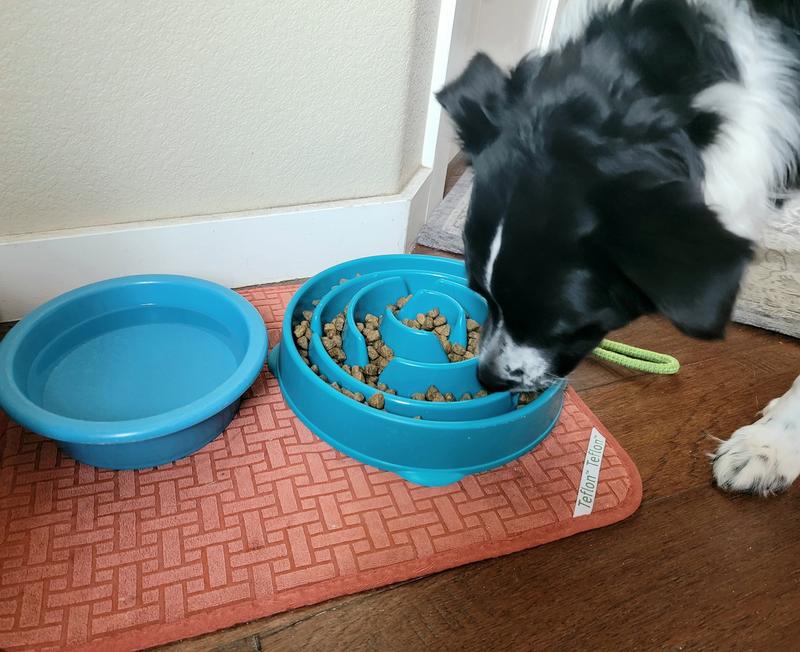 Slow Feeder Dog Feeder Bowl Three layer Plastic Rotating - Temu