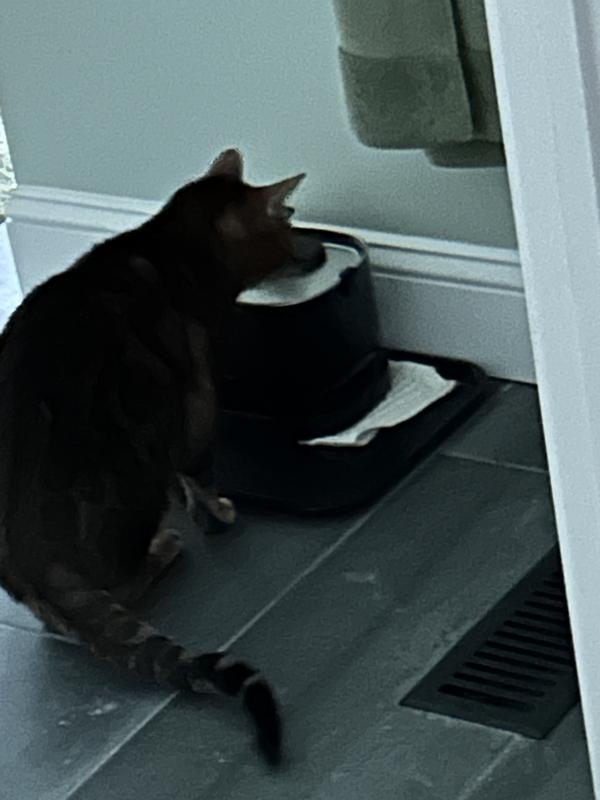 Stopping by for a drink!