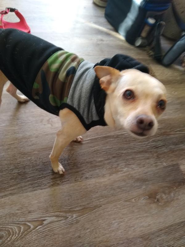 Ready to go dad !