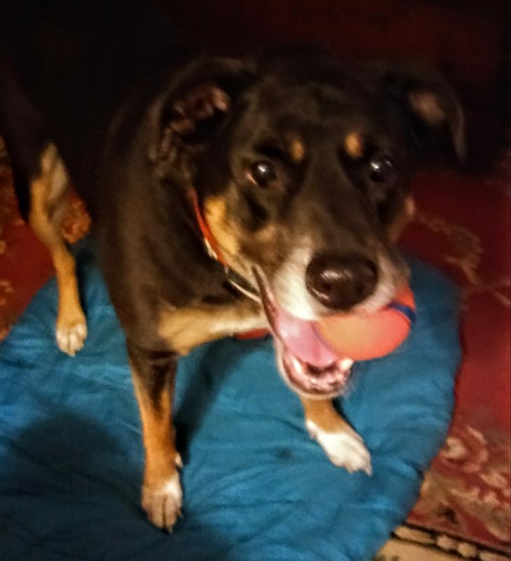 Love my ball!
