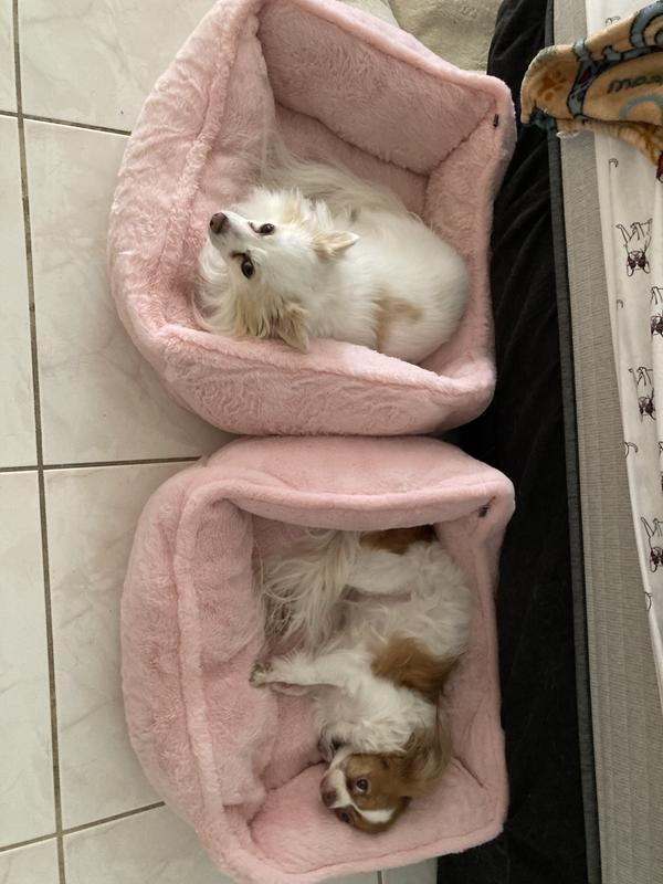 NANDOG Cloud Collection Dog & Cat Bed, Jade Green - Chewy.com