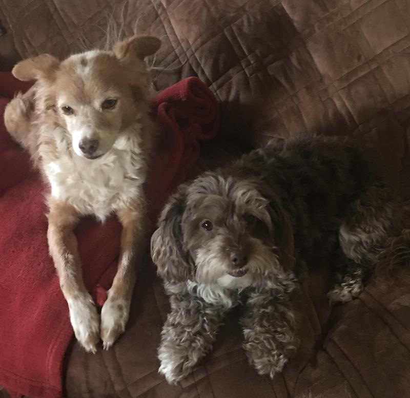 Koby on left Gracie on right