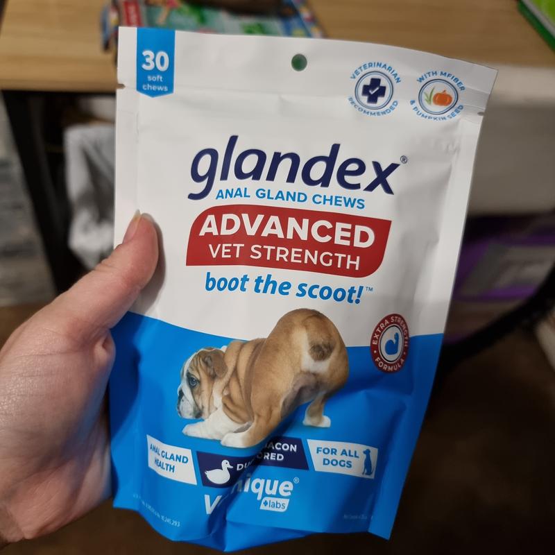 Glandex® Boot the Scoot® Anal Gland Soft Chew Dog Supplement, dog  Probiotic & Digestive