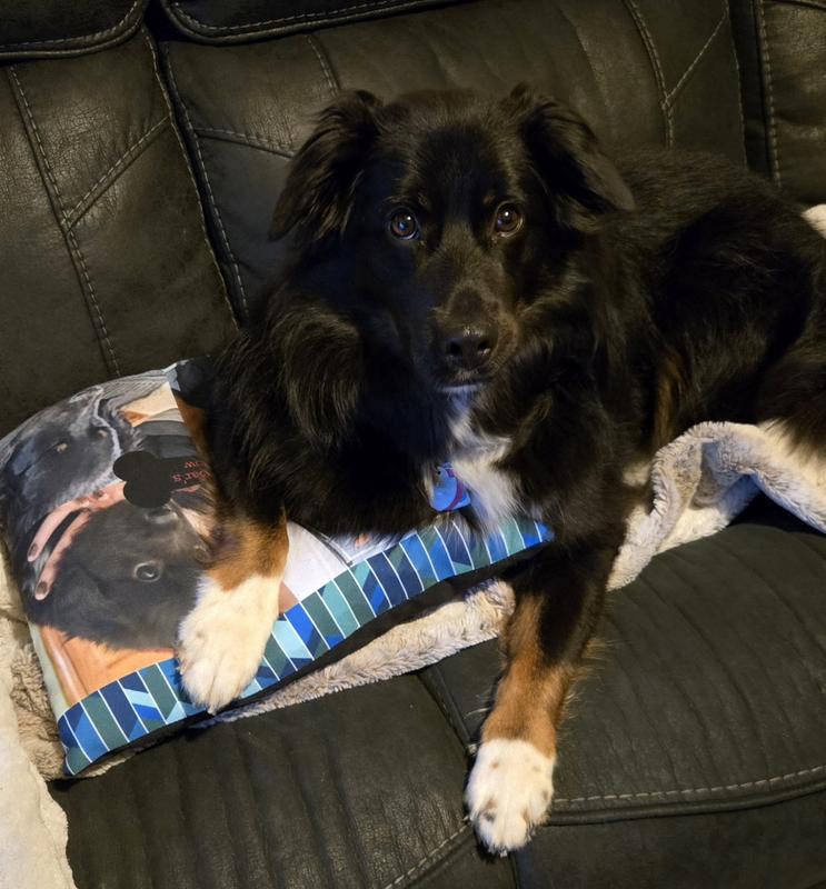 KodaBar (actually KodaBear but the e is silent) )