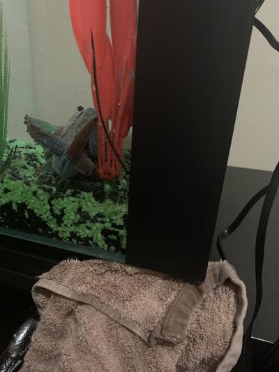 U can see crack and leaking in right corner